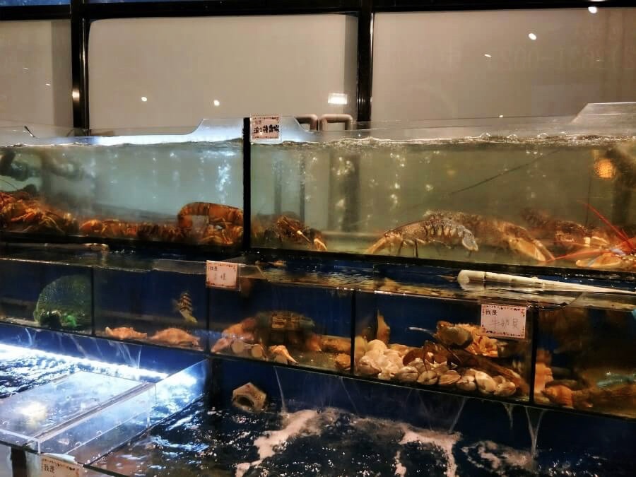 海鮮餐廳 林口火鍋店 海鮮火鍋 林口植牙 新北植牙